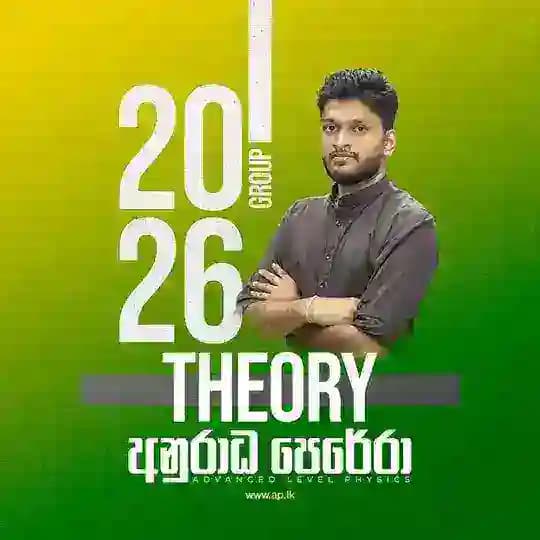 2026 THEORY GROUP | PHY AP Profile