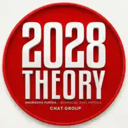 2028 THEORY GROUP | PHY AP Profile