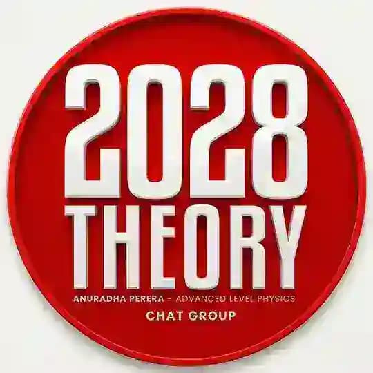 2028 THEORY GROUP | PHY AP Profile