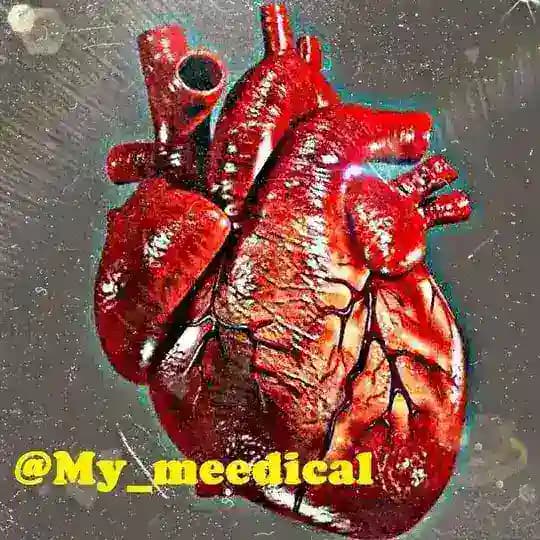 گپ انگیزشی🍀 Profile