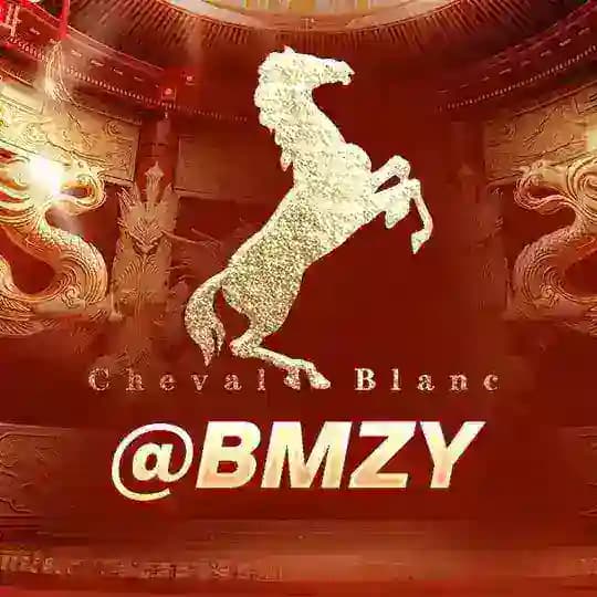 🔥白马庄园@BMZY🔥上下分群 总押300万美金 Profile
