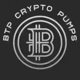 BTP CRYPTO PUMPS & SIGNALS 🚀 Profile