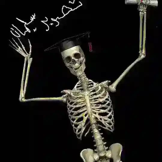 تصوير سليمان Profile