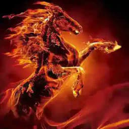 Bing Wu Firehorse 2026 Profile
