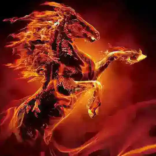 Bing Wu Firehorse 2026 Profile