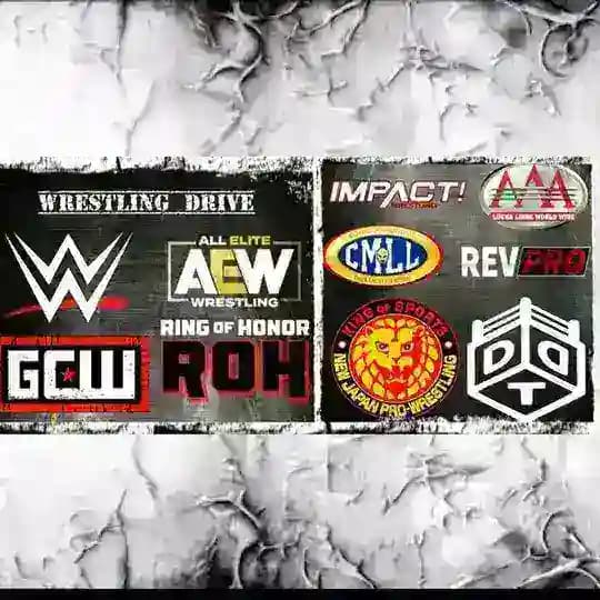 CHAT WRESTLING DRIVE Profile