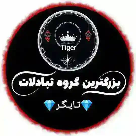 💎گروه تبادلات آزاد تایگر💎 Profile