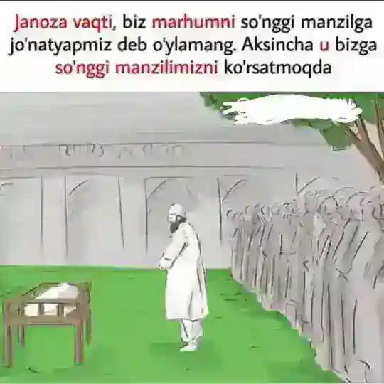 Чинобод Жаноза Profile