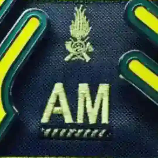 96º Corso 1330 Allievi Marescialli GdF "Brennero III" Anno Accademico 2024-25 🔰 Profile