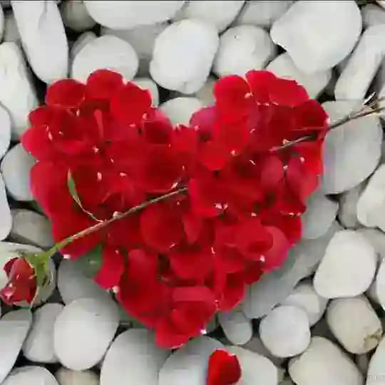 همسریابی دوستیابی خاله تهران مشهد Profile