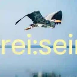 Einfach sein und Frei sein ! To Be Human To Be Free ! Profile