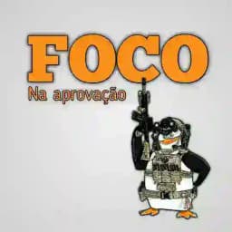 FOCO NA APROVAÇÃO 🚀🚀🚀 Profile