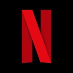دليل تعاملات اشتراّكًات نتفلكس Profile