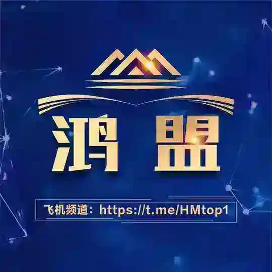 鸿盟出海【海外资讯交流群】 Profile