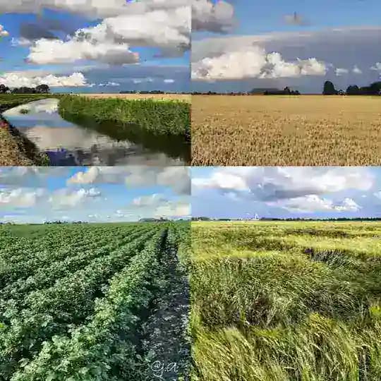 Haal ‘t Lokaal Profile