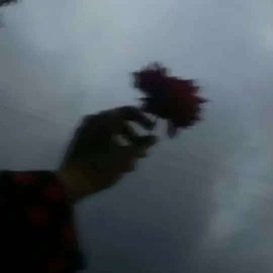 Legal X Marketing Profile