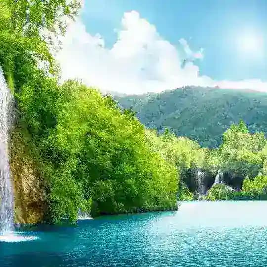 Live a healthy life Profile