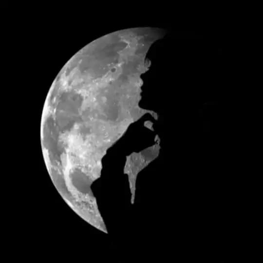 【My moon】 Profile