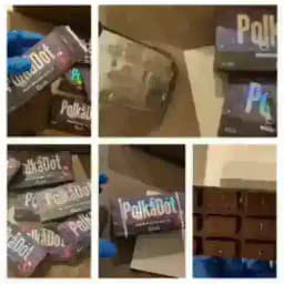 קהילת פטריות הקסם שוקולד Profile