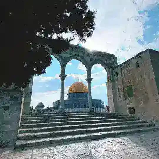 كروب تبادل قنوات زيادة مشاهدات Profile