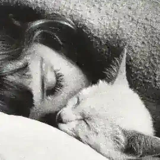 كروبات🔞 نيج🔞 سحاقيات 🔞 فروخز 🔞 سوالب🔞 Profile