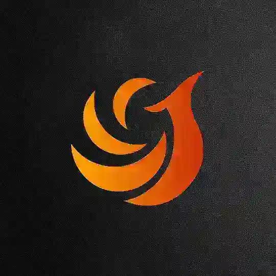 Phoenix Finance Profile