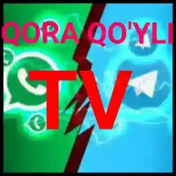 К,ОРАК,УЙЛИ MFY Profile