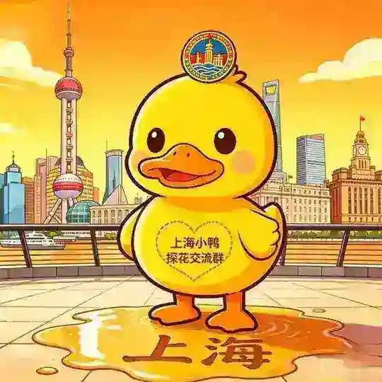 上海小鸭探花交流群 Profile
