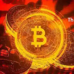 سیگنال فیوچرز و اسپات Profile