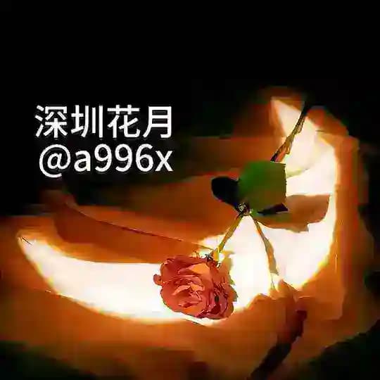 深圳花月中转@a996x Profile