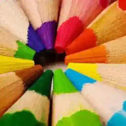 生命的颜色 Profile