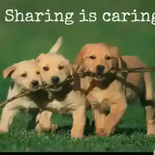 Sharing is Caring DD Profile