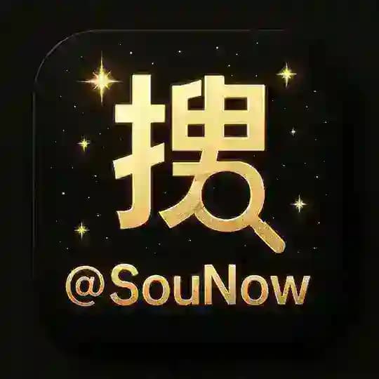 👀搜Now|全能搜索|中文导航|超级索引|万能搜索🔎 Profile