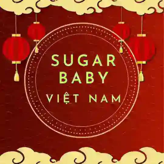 TÌM SGBB - ĐỘNG GÁI TƠ Profile