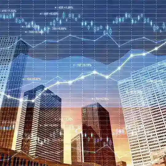 Mutual funds investment Profile