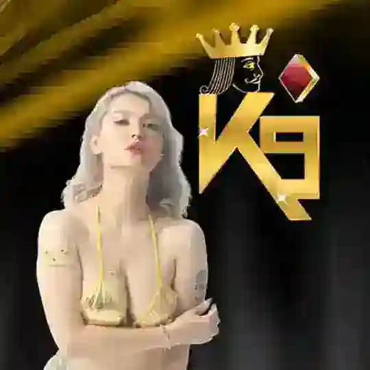 TURSTED K9WIN Profile