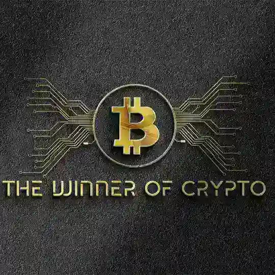 The Winners of Crypto Profile
