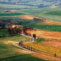 The value of life Profile