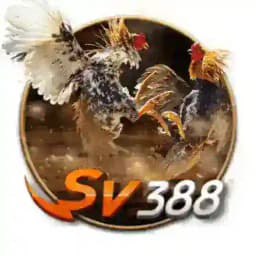 𝐒𝐕𝟑𝟖𝟖 ⚜️ Đ𝐚́ 𝐠𝐚̀ 𝐤𝐢𝐞̂́𝐦 𝐥𝐚̃𝐢 𝐦𝐨̂̃𝐢 𝐧𝐠𝐚̀𝐲 Profile