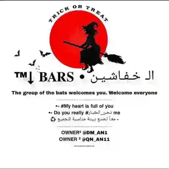 الـ خـفـاشـيـن • 𝐁𝐀𝐑𝐒 ↓™ Profile