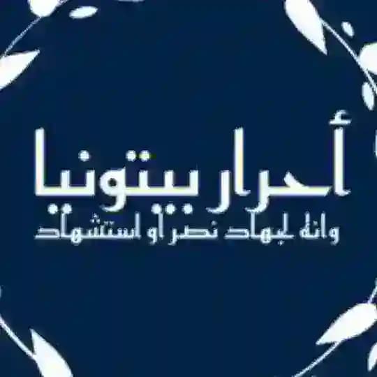 مناقشات ⁨أحرار بيتونيا 💚🔥⁩ Profile