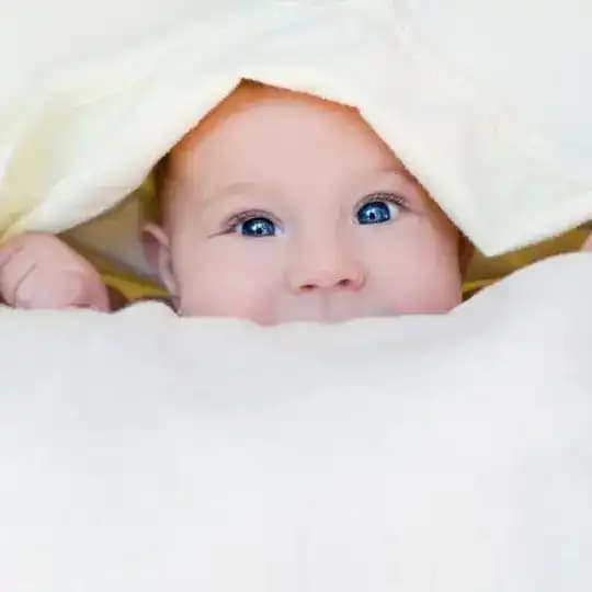Aile Olmak Profile