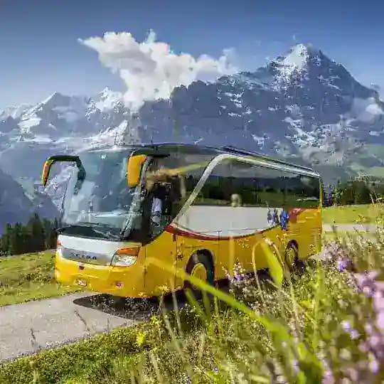 🏞Екскурсії з Німеччини для українців, виїзд з Касселя, Марбурга, Гісена, Штутгарта... +380637757676, officearkadia@gmail.com Profile