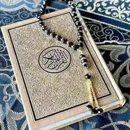 صیغه یابی و همسر یابی همدم 💍💍 Profile