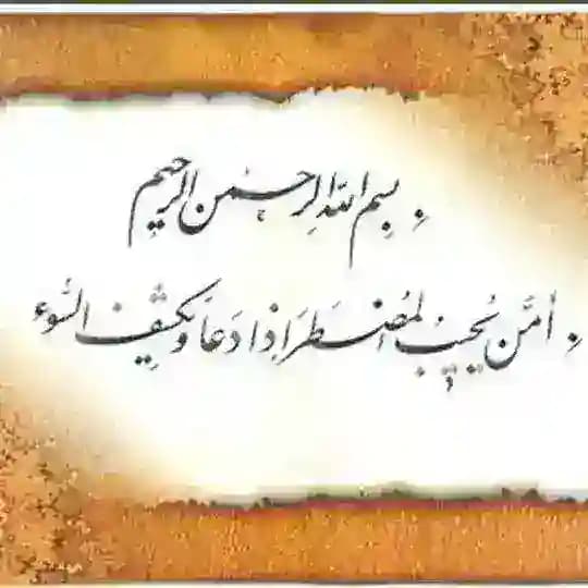 👊 استاد Profile