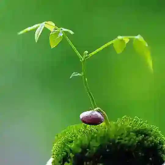 Aung_Lottery_စာရွက်ပြတိုက် ️ Profile