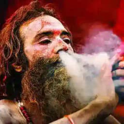 🎯 सिंगल जोड़ी के बाप 👑 Profile