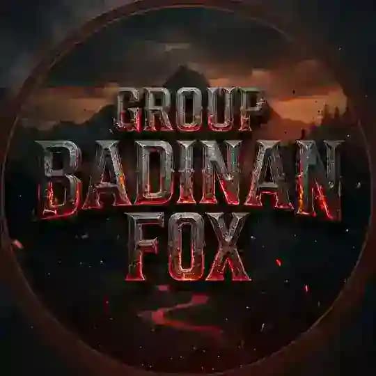 Groupe badinan fox Profile