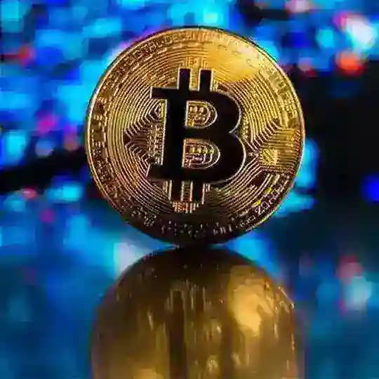 ELİT CRYPTO Profile