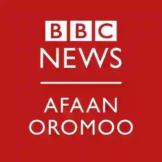 BBC AFAAN OROMOO Discussion Profile